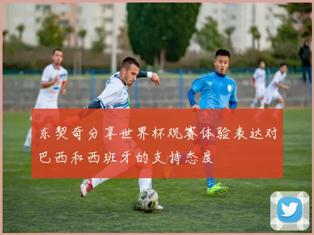 东契奇分享世界杯观赛体验表达对巴西和西班牙的支持态度