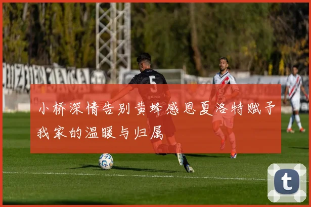 小桥深情告别黄蜂感恩夏洛特赋予我家的温暖与归属
