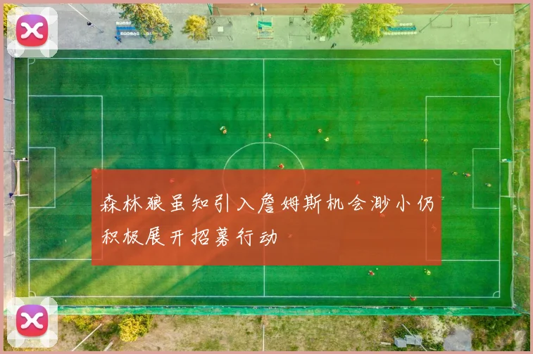 森林狼虽知引入詹姆斯机会渺小仍积极展开招募行动