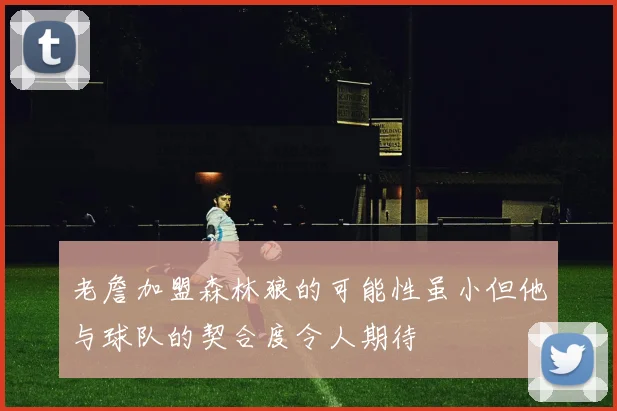 老詹加盟森林狼的可能性虽小但他与球队的契合度令人期待